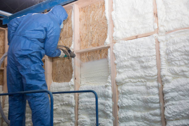 Best Spray Foam Insulation  in Elton, LA